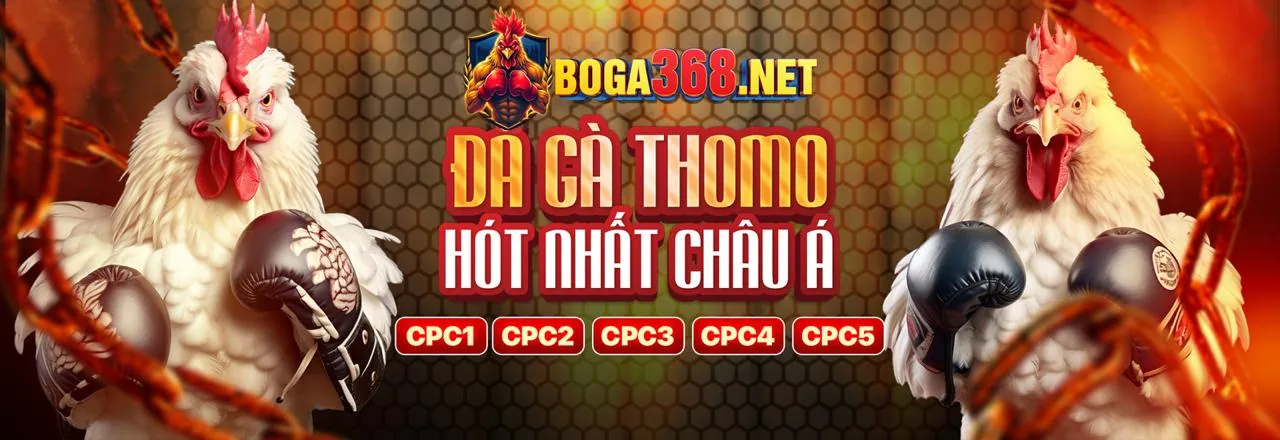 Hình ảnh thể thao W88